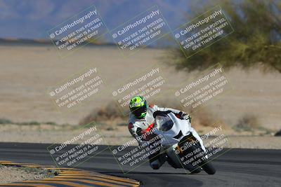 media/Feb-04-2023-SoCal Trackdays (Sat) [[8a776bf2c3]]/Turn 4 (Tree of Life 2pm)/